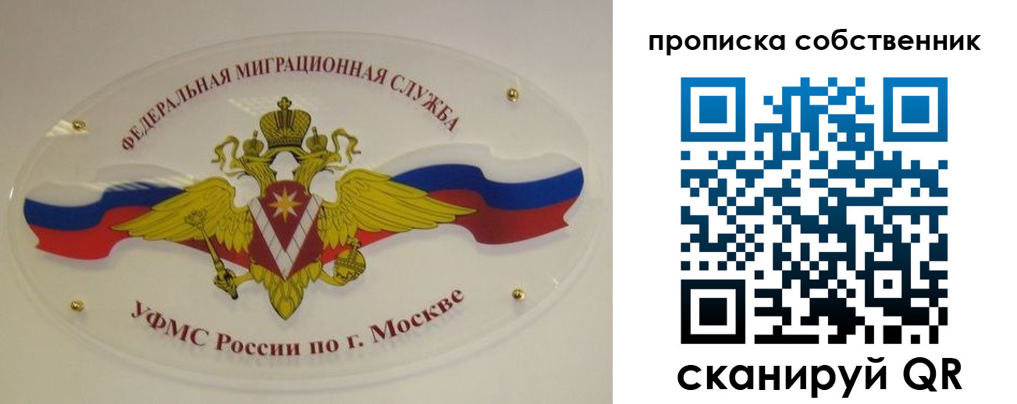 прописка 2025 в Нелидово